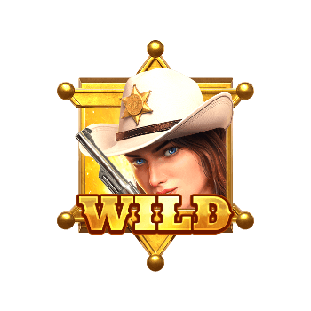 การดวลล่าค่าหัวสุดไวลด์_wild