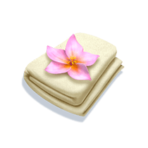 บิกินี่พาราไดซ์_towel