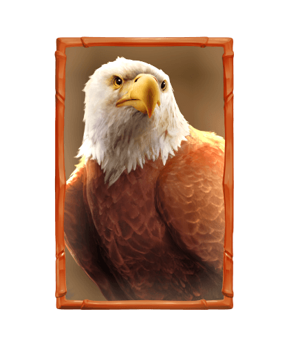 เงินรางวัลกระทิง_eagle