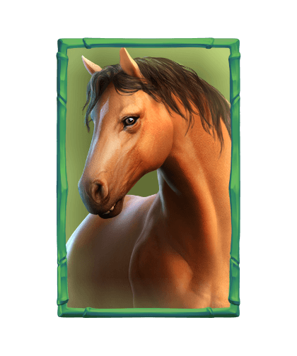 เงินรางวัลกระทิง_horse