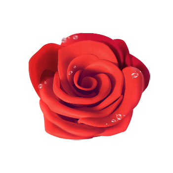 ดอกซากุระผีเสื้อ_rose