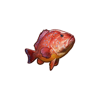 สัญลักษณ์ทั่วไป -grouper-