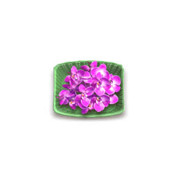 สล็อตตลาดน้ำ_orchid