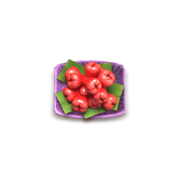 สล็อตตลาดน้ำ_waxapple