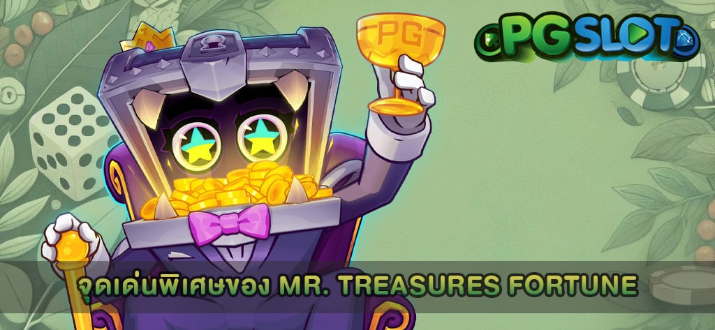 จุดเด่นพิเศษของ Mr Treasures Fortune